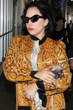 gagasgallery: Gaga arriving at LAX airport.