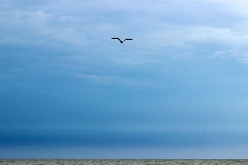 Rehoboth Beach, Delaware 