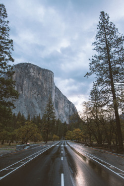 alozor:  El Cap