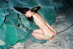 drinktheantidote:  Photography by Ren Hang 