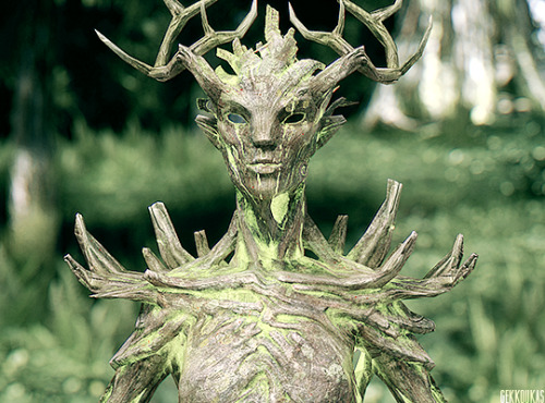 gekkoukas:Little is known of the mysterious Spriggans, save that they revere Skyrim’s forested regio