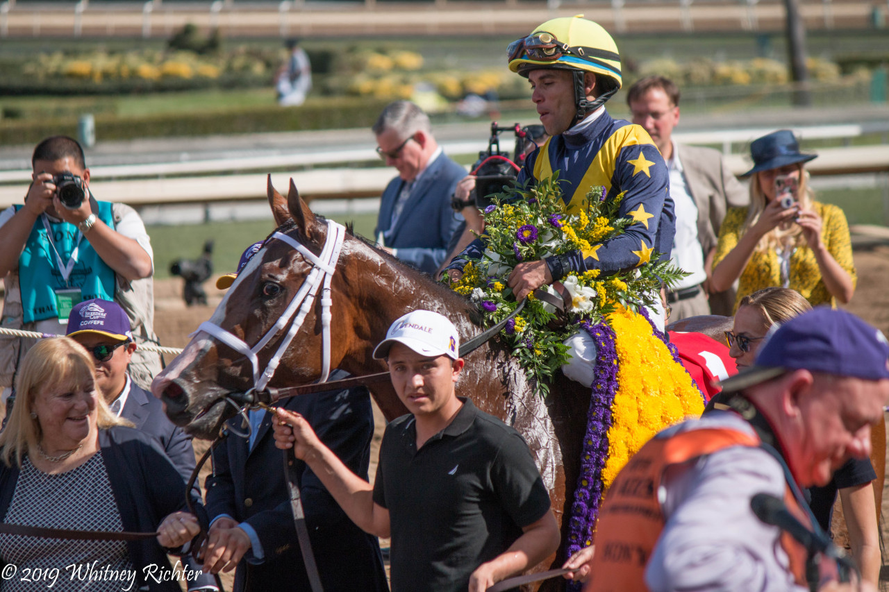 breeders cup on Tumblr