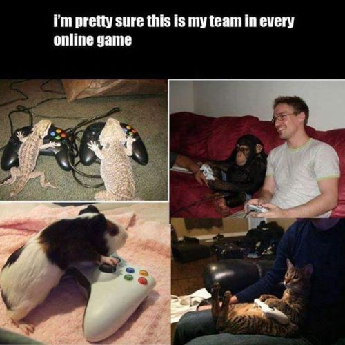 Haha, some times, some times&hellip;#console #videogames #gamergram #gamer #pcgaming #psn #ps #ps4 #