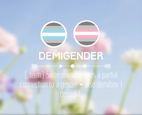 frogplushedgehog: [THE GENDERQUEER SERIES]Genderqueer (.noun): denoting or relating to a p