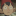 radicallymaxton:another wirt doodle 