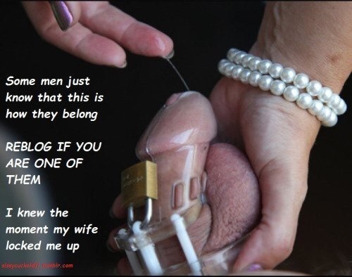 johnette: txguy820: It’s what he needs  Would be very exciting . Don’t resist sissy, this is just wh