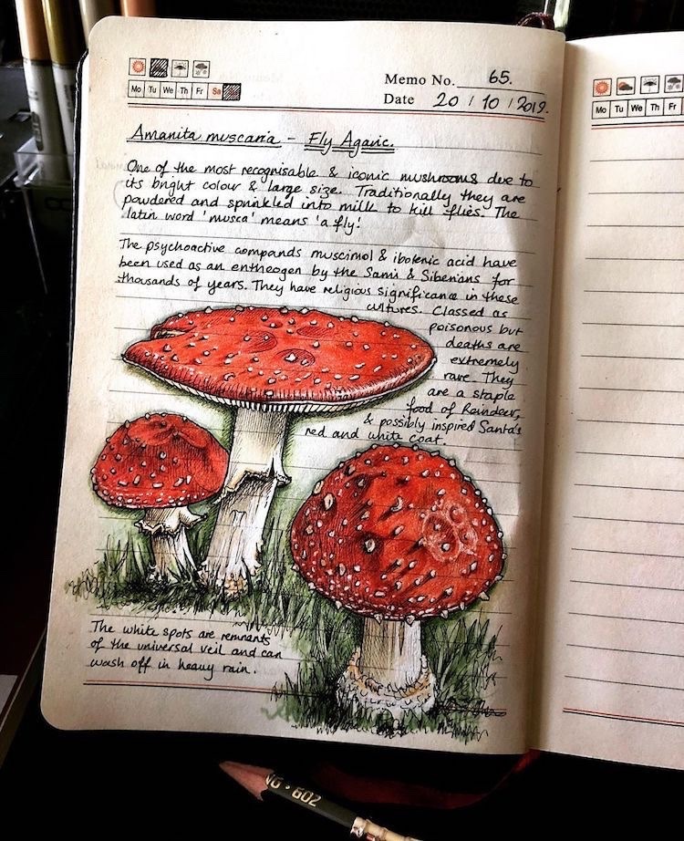 euripideez-nuts:Jo BrownBiologist and artistJournals