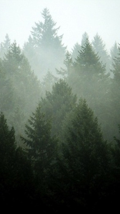 http://allergictoreality.tumblr.com/post/149788495892