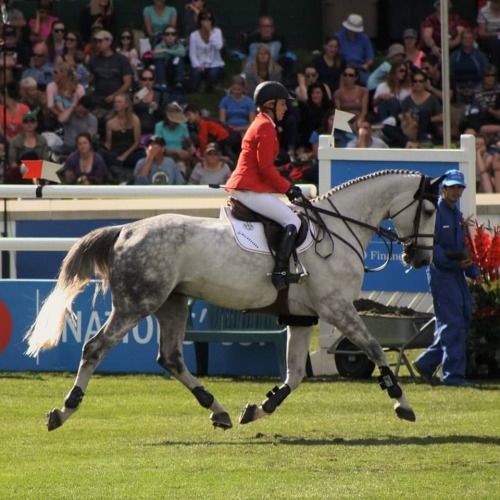 eq-uitation: That trot though