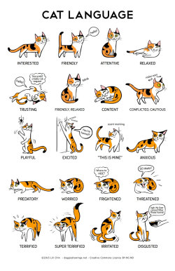 thecatart:  Cat Language 11" x 17"