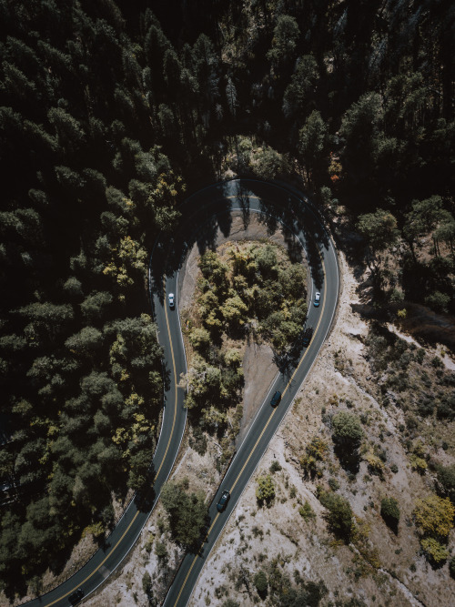 “Oak Creek Canyon Scenic Road in Sedona, Arizona.” photo taken by Daemaine Hines.Website | Instagram