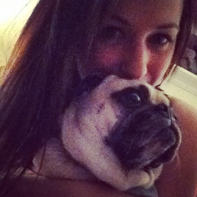 ihugpugs:  Dog Lover Shirts: http://bit.ly/1sIvs6I 
