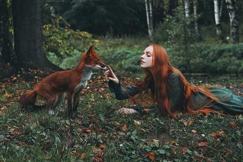 XXX drxgonfly: Girl and Fox (by  Alexandra Bochkareva) photo