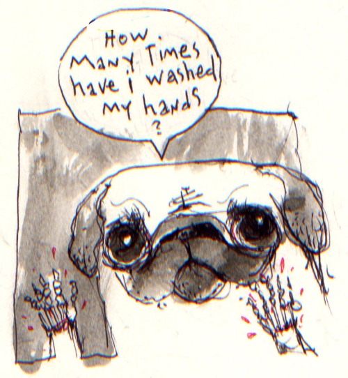 Well my pug said something else.