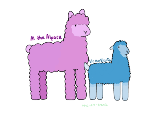 I was bored so I made two OC’s, Al the alpaca and Vic the vicuña. (vicuñas are related to alpacas an