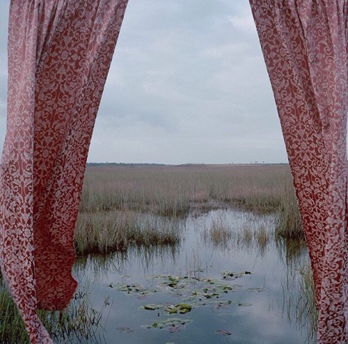 roseoilz:  certain curtain into the world by rebecca reeve