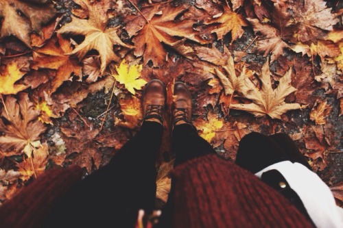 autumn-cosy:  autumn/winter blog all year round