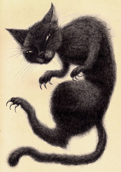 FoxComet aka Magda Boreysza (New Orleans, LA, USA) - Black Cat Print