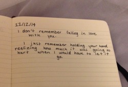 fuckwitt:  dikemb-e:   prncses:  dumbdaisies:  &ldquo;I don’t remember falling in love with you.  I just remember holding your hand and realizing how much it was going to hurt when I would have to let go” Journal entry 11/12/14  This breaks my heart
