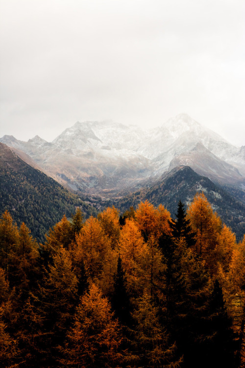 lvndscpe:Zillertal Alps, Italy | by Eberhard Grossgasteiger