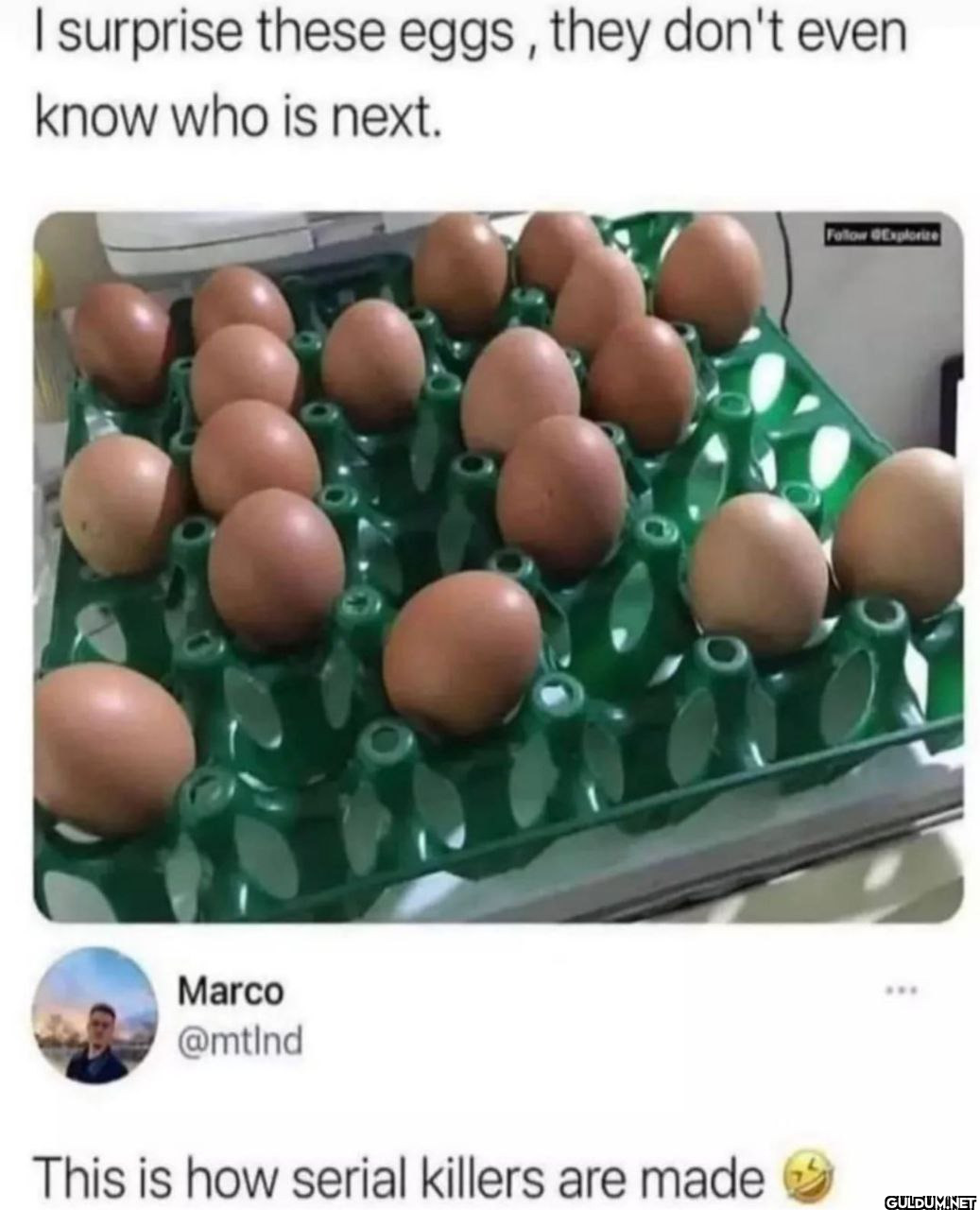 I surprise these eggs,...