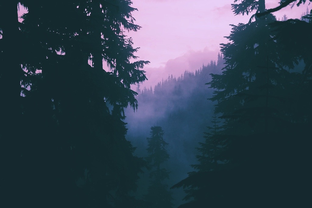 thefaeryrealm-deactivated202101:somewhere in Maine 