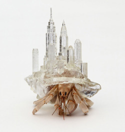 laughingsquid: Architectural Shell Sculptures for Hermit Crabs
