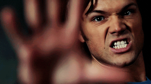 a-multi-fandomers-sanctuary:  When you’re reading a really good text post,fan fic, or meta, and the mobile app crashes halfway through