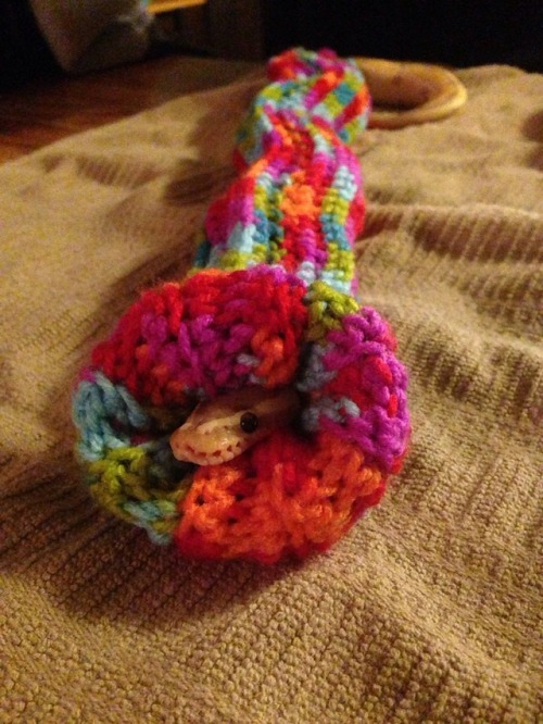 mikkeneko: knitforbrains:  my-chemical-calamity: I made a sneater for my friends noodle and he loves