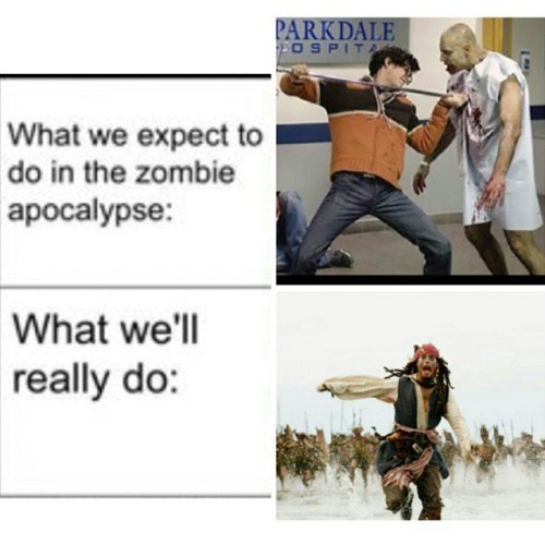 We will be the top picture, when the apocalypse comes lol #zombies #zombie #zombieapocalypse #killzo