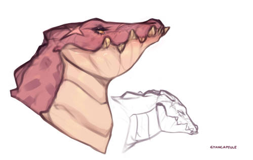 cyancapsule:Here are a buncha crocodiles/gators/gharial sketches I’ve been posting over on my twitter recently! ( Sketches were originally sent to my patrons way way back!) I’ve always thought crocodiles are really cool even if it seems they kinda
