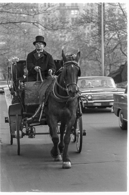 Ph: AAlberts • Horse and Carriage • Central Park • Film • * Title • Hansom Cab • • Life Was A Bit Si