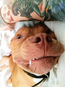 kwen-b:  Yes. Hello. Goodmorning. 