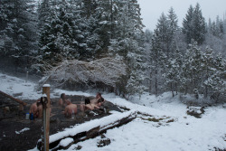 ayearofdeepcreek:  Breitenbush Silent Pool in the snow  .