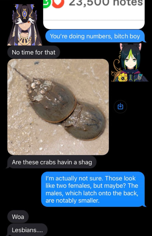 Hey Chat