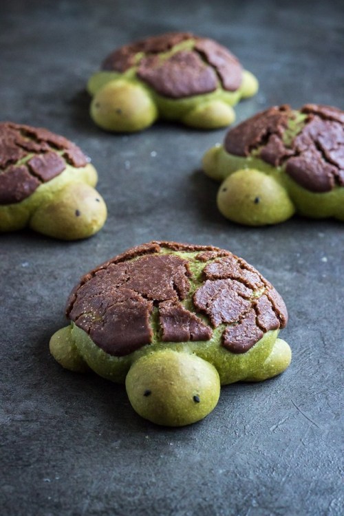 sweetoothgirl:MATCHA MILK BREAD TURTLES WITH CHOCOLATE DUTCH CRUNCH