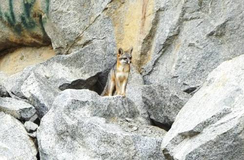 topfanyeah:Riverside Rock Quarry, location in an abandoned granite quarry. With West facing 300 foot