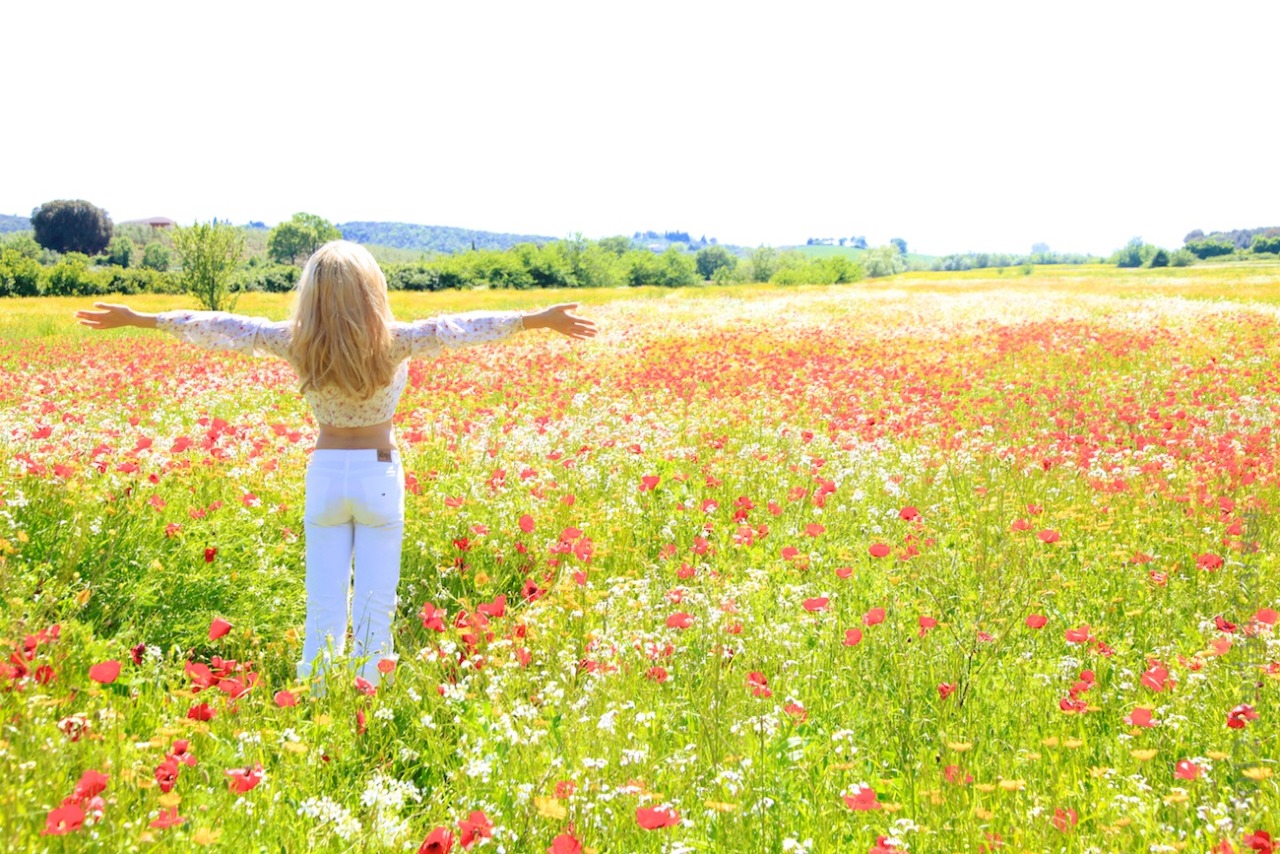 sbla7295:  Jordan CarverPoppies