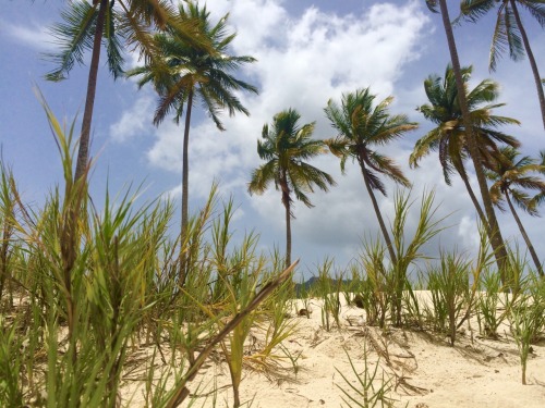 trinibreeze:Maracas Beach