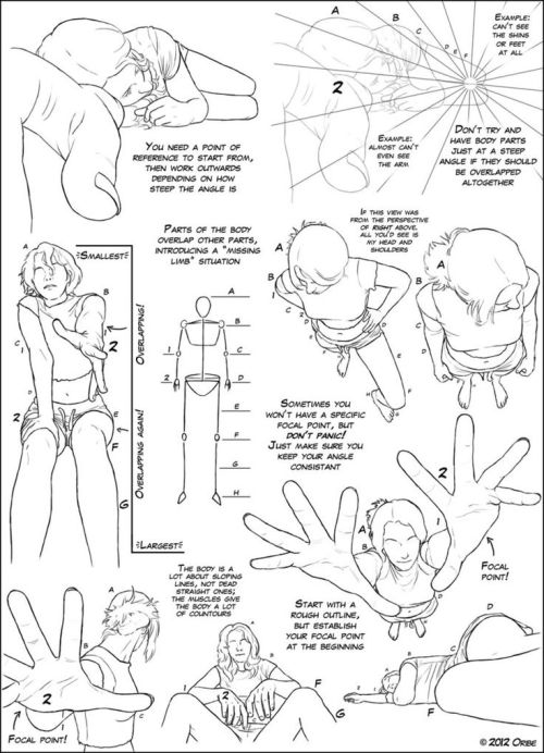 z-raid:
“ fucktonofanatomyreferences:
“ A glorious fuck-ton of perspective angle references (per request).
[From various sources.]
”
Sources:
• Perspectives Tutorial by DerSketchie
• TUTO - male reference pose by the-evil-legacy
• tuto - women ref...