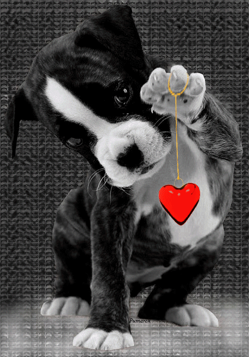 Ti amo ,minha princesa.
