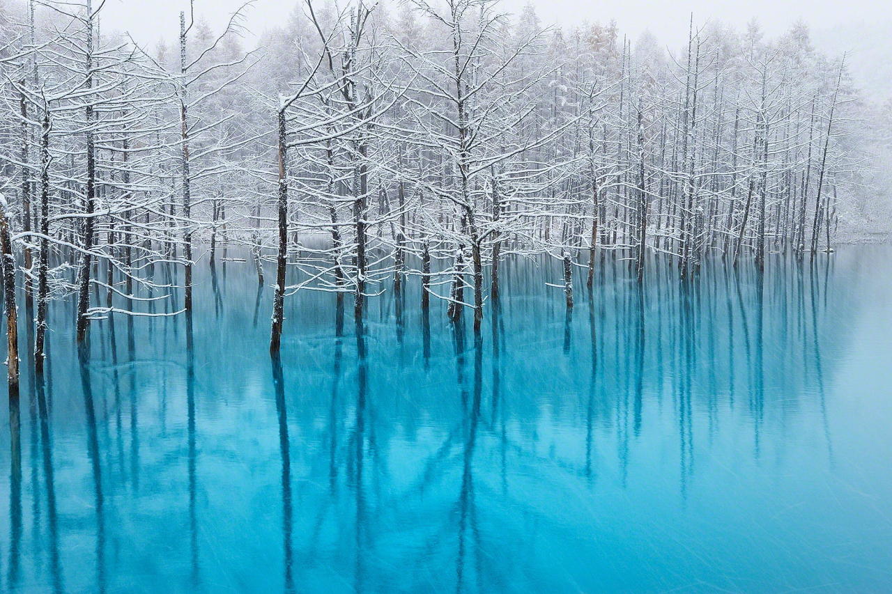 4quarius:  Magical pond that changes color with the weather  Kent Shiraishi took