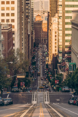 citylandscapes:  San Francisco, CA