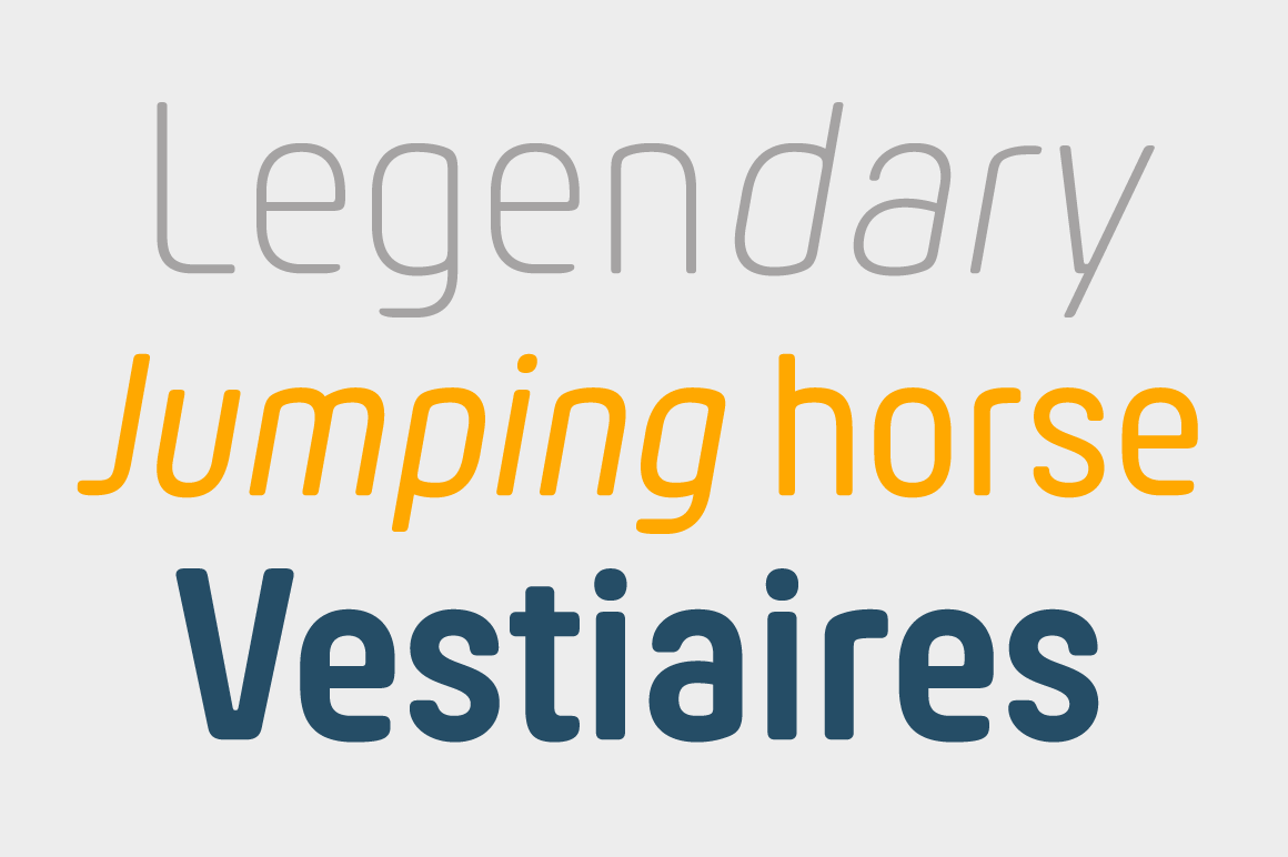 type-lover:  HANSOM FYby Jérémie Hornus &amp; Fontyou Team