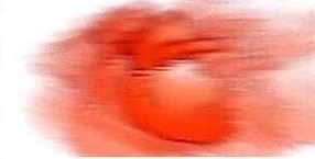 Me : *eats More Than 1000 Calories*