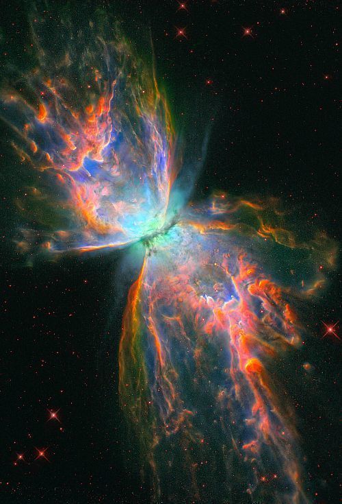 the-wolf-and-moon: NGC 6302, Cosmic Wings