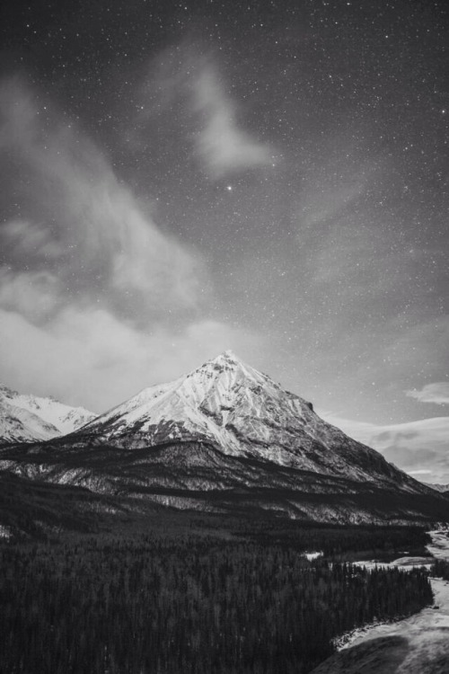 WANDERLUST