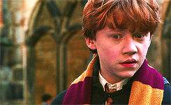   harry potter meme: three movies → chamber of secrets (2/7)  