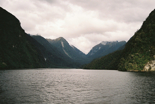 reincerf:  A slightly less rainy day on Doubtful Sound by traceyjohns on Flickr.