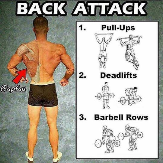 taichi-kungfu-online:  Exercises for different Part of The Body!